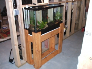 My Aquarium and DIY Stand
