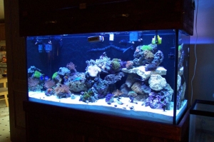 new 90 gal