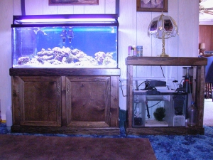 Complete system