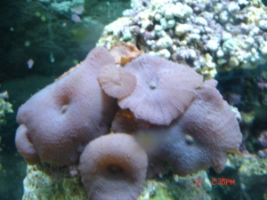 DSC01399