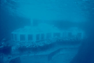 Under the Sea