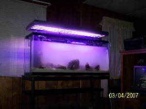 new_tank