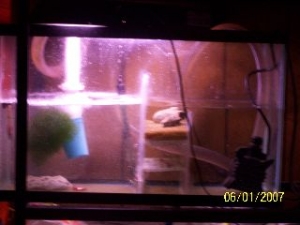 sump2
