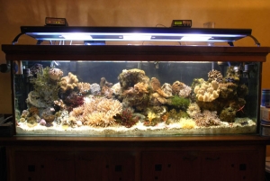 2 Meter Tank