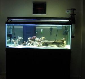 75-gallon-tank-033