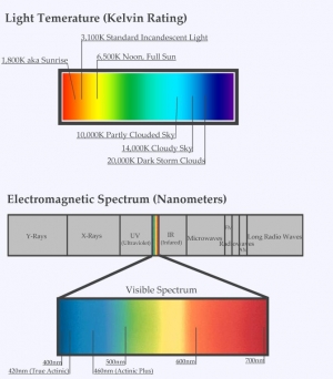 Lighting Chart with kelvin and Spectrum scales