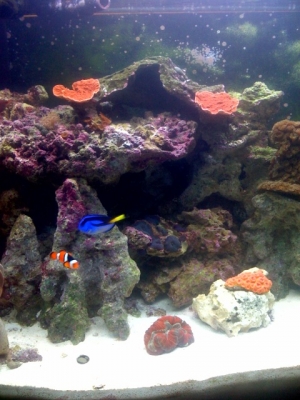 Partial Shot of Tank