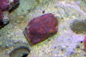 Picture_0951