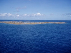 reef4