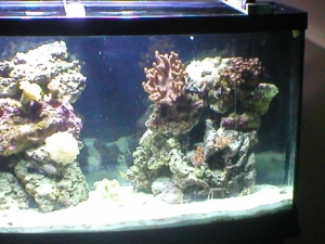 Right Side