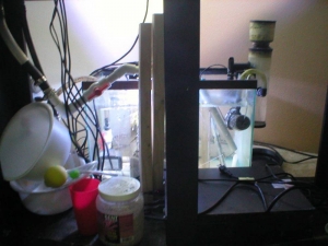 Sump
