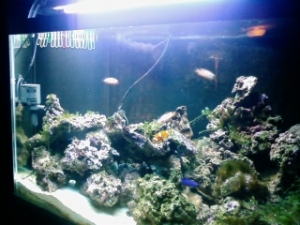 tank22