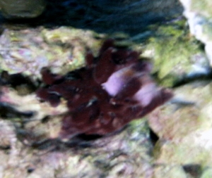 PICT0005