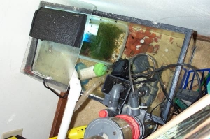 Sump on a Budget