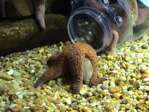 Atlanta Aquarium