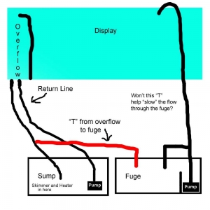 Sump/Fuge