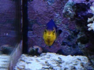 new addition...