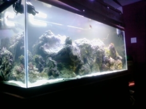 75gal2
