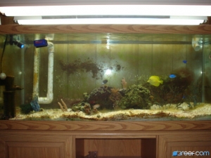 Tank Closer Up