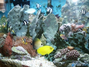 PICT00033