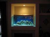 My Aquarium