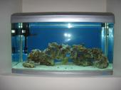 My Aquarium