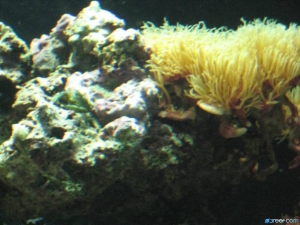 New Tank, New Year