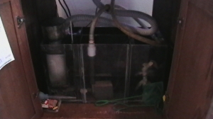 My sump
