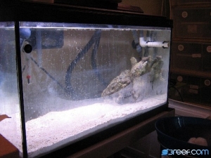 Picture_082