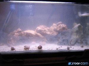 Picture_088