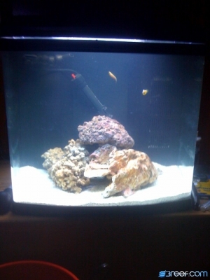 Our New Nano