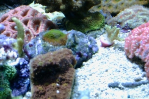 Oooh pretty colors