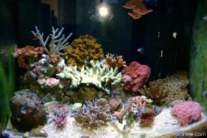 Updated photo of my 25g
