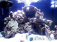 front_after_cycle_2