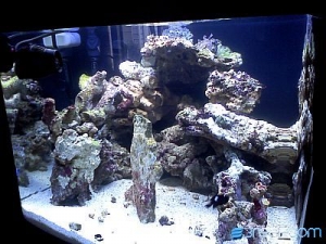 front_biocube