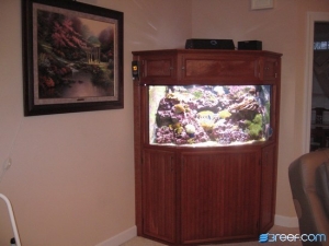 92 gal All Glass Corner Tank
