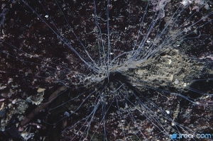 spaghetti_worm