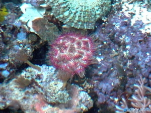 DVC00071