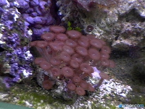 DVC00057