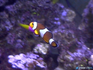 DVC00059