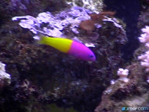 DVC00062