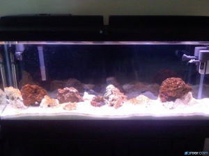 55g Stage three