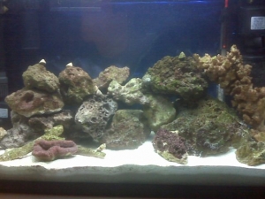 Tank shot