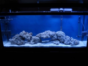 Aquascaped and sand added
