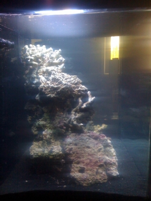 First Tank, Day 1