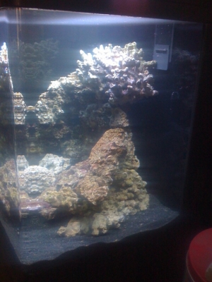 First Tank, Day 1