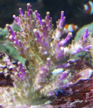 3_color_06-01-08