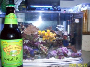 My_3_gallon_Nano
