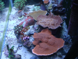 side shot.