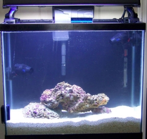 Pictures of the Tank